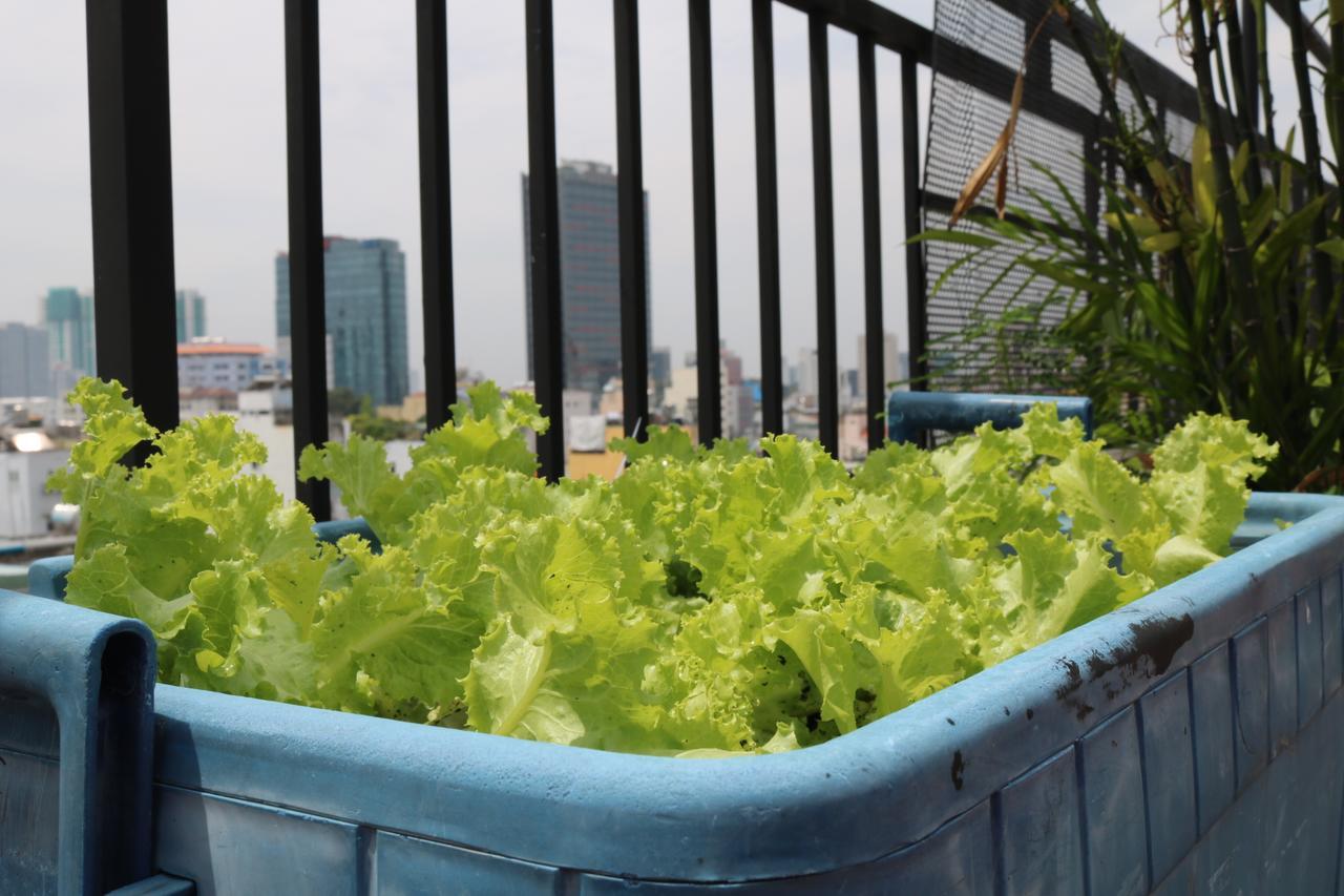 Eco Backpackers Nhà trọ TP. Hồ Chí Minh